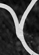 Wall_Art_Alphabet_Photography_Art_ 2536